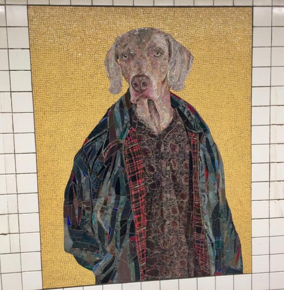 Good news, F Train riders: 23rd Street Station reopens, and it's nifty Probably too many William Wegman dog mosaics, but I like dogs. Sorry.